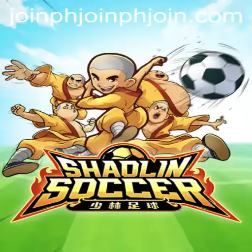 Shaolin Soccer Game Rules and Introduction